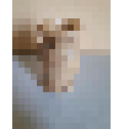 ТАБАКЕРКА КОСТЯНАЯ