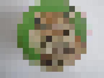 Значок "Рысь"