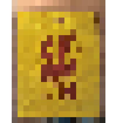 Пакет полиэтиленовый с символикой политической партии РФ "Справедливая Россия"