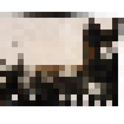 Фотография. Митинг в Шингак-Куле по поводу организации колхоза