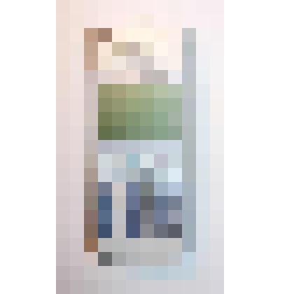 Телефон мобильный Sony Ericsson T100