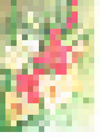 Документ. Телеграмма Лены, Володи Эрвье Юрию Георгиевичу с 75-летием со дня рождения. г. Ессентуки. 1984 г