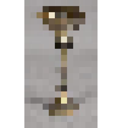 Кубок с чашей в виде цветка тюльпана