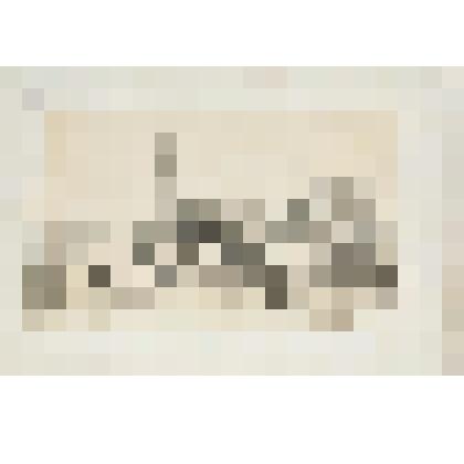 Литография. "Санкт-Петербург. Церковь Св. Николая Морского и канал Фонтанки."