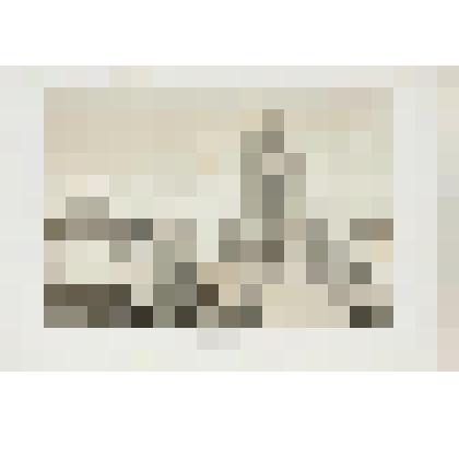 Литография. "Санкт-Петербург. Смольный монастырь. Вид от эспланады."