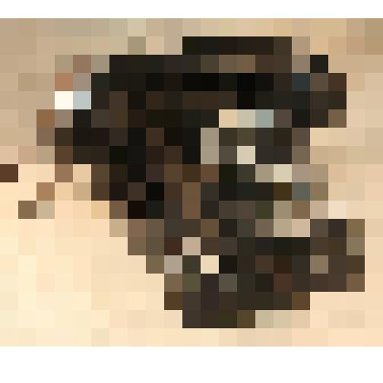 Аппарат телефонный с дисковым набором номера, из коллекции бытовых предметов семьи Ролдугиных-Провоторовых