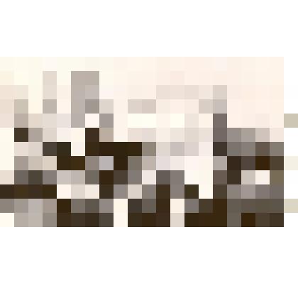 Фотография: районный праздник окончания посевной 20 мая 1956 года в роще колхоза Чапаева. Выступает хор Городского Дома культуры под руководством Воробьева