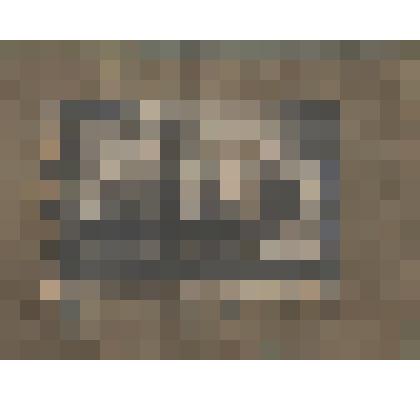 Фото "Президиум Пустозерского Волисполкома"