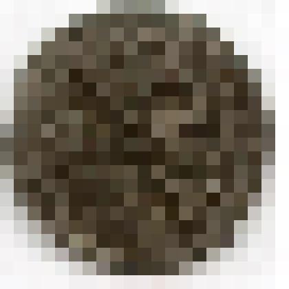 Монета. Российская империя