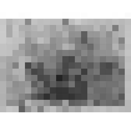 Большой дворец. Куропаточная гостиная. Плафон "Утро". Фрагмент (центральная часть) в процессе реставрации