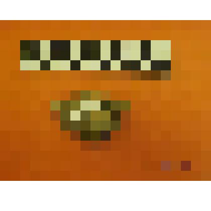 крупный отщеп из камня