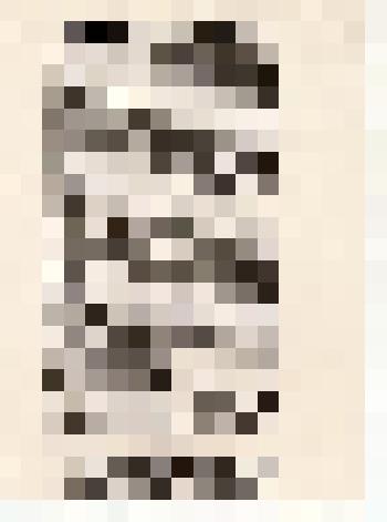 Документальный материал. Газета "Совет крестьянину" от 22.12.1925г. «Барабинск на пути к 1905г.»