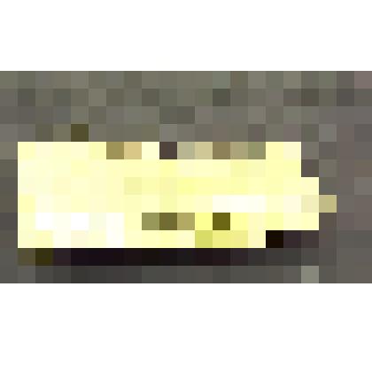 Gelocus aymardi Kowalevsky, фрагмент нижней челюсти