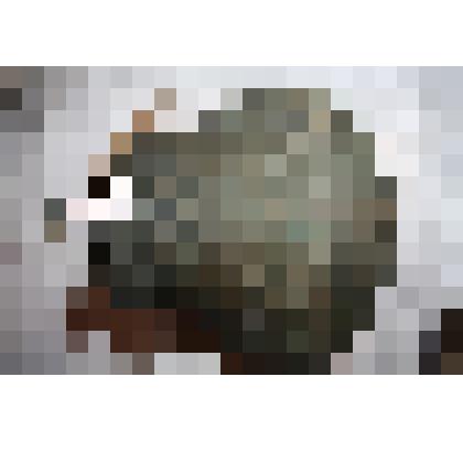 Колокольчик