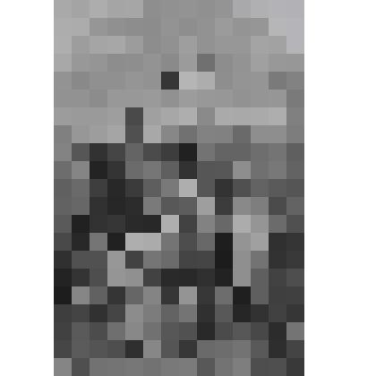 Мадонна- прекрасная садовница