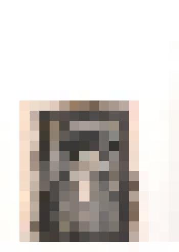 Фотография ч/б Бастрыкина Г. М., партизана Гражданской войны