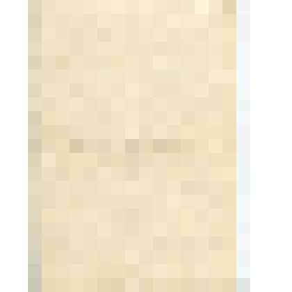 Письмо № 8/300 Государственного архива Калининской обл