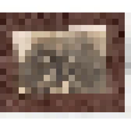 Ф/чб/п. Строительная бригада г. Покровск (3 ряд 3 слева в тулупе прораб Гавва Ф.Е.). АССР НП. 1920-1930-е