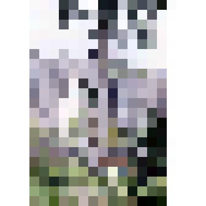 Диапозитив. Седьмой микрорайон. (99)