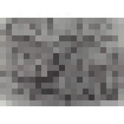 Фотокопия выпускники средней школы №3 г. Климовска, выпуск второй