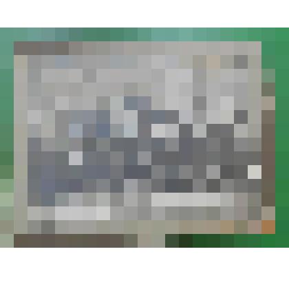 Фотография. Третья Спасская райпартконференция