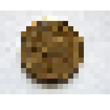 Монета 5 рублей