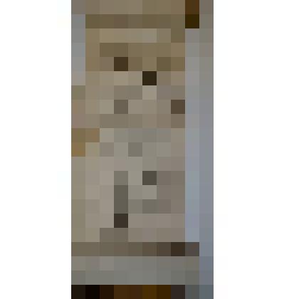 Список с жалованной грамоты Афанасию Строганову на Сольвычегодские угодья