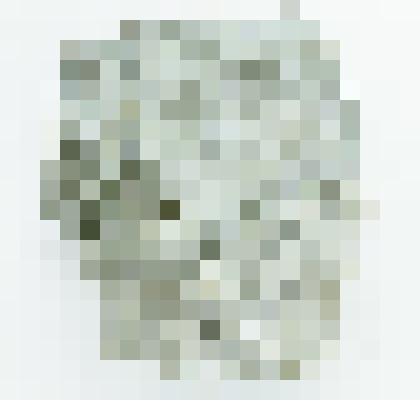 порода лерцолит