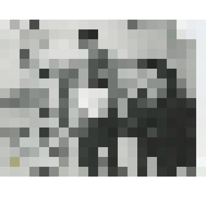 Фотография ч/б. Летчики-космонавты Губарев А.А и Гречко Г.М. на тренировке