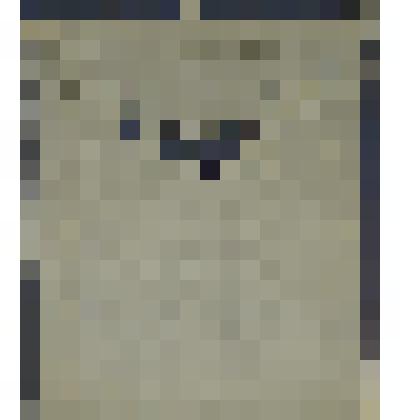 Фото групповое