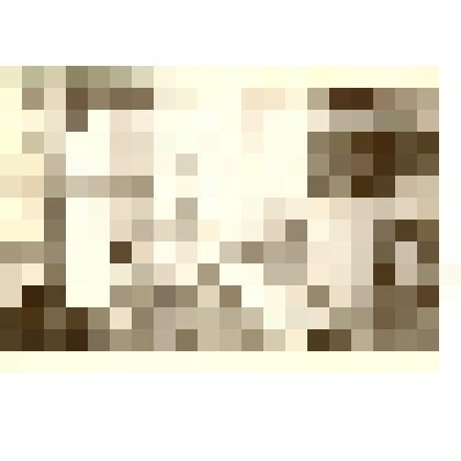 Фотография: экспозиция Каменского краеведческого музея. Отдел истории