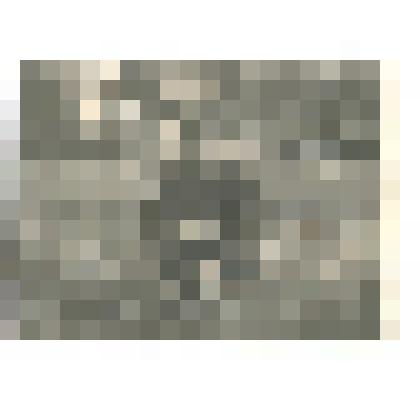 Фотография. Шапкин Елизар Павлович у клумбы на корточках (в годы воинской службы)