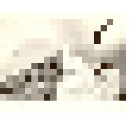 Фотография: строительство общежития Каменского педагогического училища