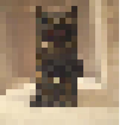 Копилка гипсовая «Собака со щенком»