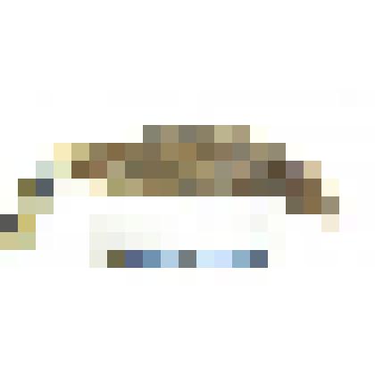 Амулет из клыка с отверстием для привешивания в корневой части