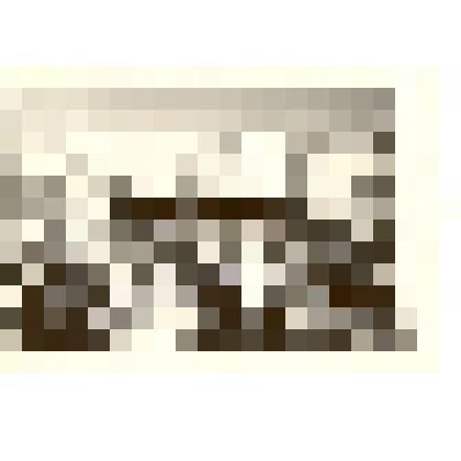 Фотография. Встреча трех поколений у памятника, посвященного 10-летию Советской власти