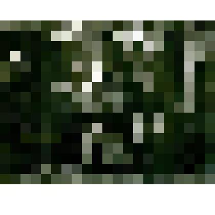 Фотография. Вечер в юрте, в уроч. Кюбяи