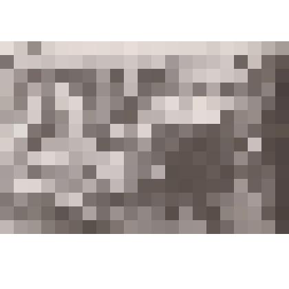 Фото  Общественность по выращиванию цветов в теплицах Тоншаевского отделения ВООП