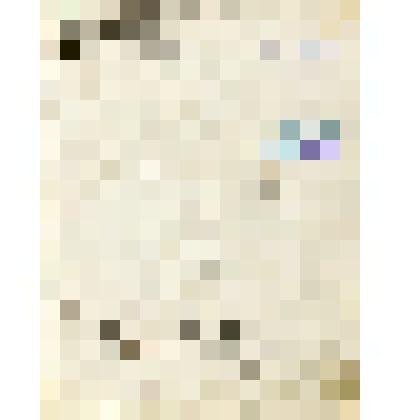 Сборник рукописный. Содержит: "Кавказский пленник" А.С. Пушкина, ряд стихотворений Пушкина, Карамзина, Долгорукого, Ломоносова, Шатрова, Лермонтова, Жуковского