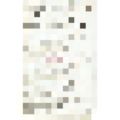 а. Письмо Мартьянова Енисейскому губернатору с поздравлением получения звания Тайного советника и о циркуляре Археологической комиссии. Черновик.
б. Письмо Н. М. Мартьянова Смирнову Александру Евгеньевичу      с      уведомлением      об отправке в дар Фе