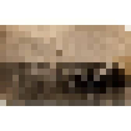 Ф/чб. Майский парад на площади Свободы г. Покровск. Строй военных со знаменем (ком-р Климецкий Г.В.) и армейцев с винтовками. 1922