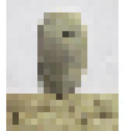 Ножевидная пластина