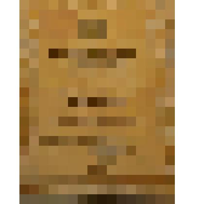 Свидетельство к памятной юбилейной Ломоносовской медали, Архангельск,2010 год