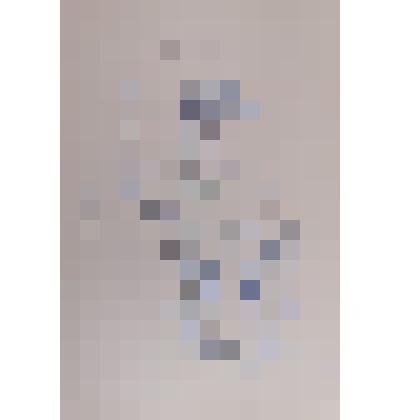 Альбом с рисунками  Д.А. Налбандяна  – 32 л.
(16 рисунков)