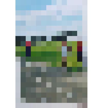 Фотография. Бег на 400 м