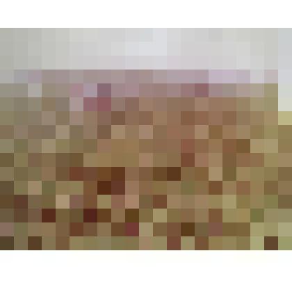 Фото. Полив многолетних трав дождевальной машиной "Волжанка"