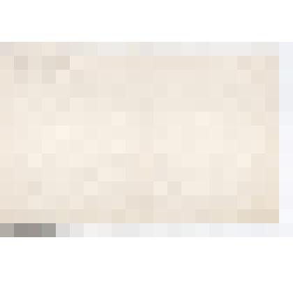 Конверт с автографом В.В. Маяковского, в котором находились записки, поданные ему во время выступления в Новочеркасске