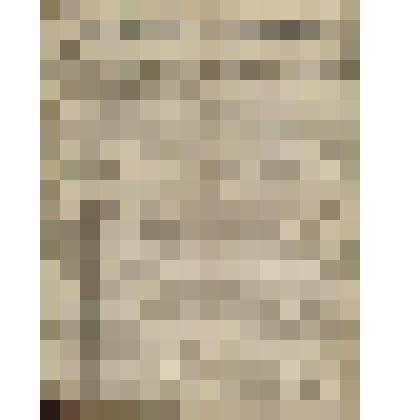 Газета. Русское знамя. № 249 (2 л.;)