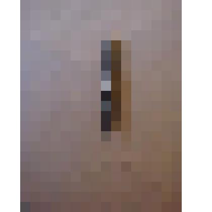 Перо с изображением Л.Н.Толстого