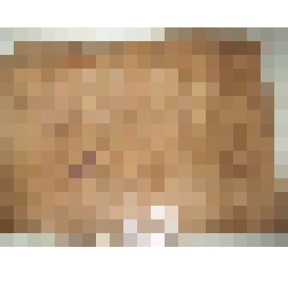 Живопись "Фараон на троне", неизвестный автор